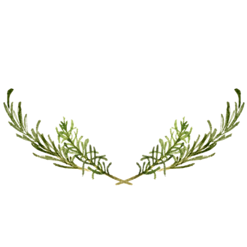 IanMikraz Watercolor Rosemary Illustration Graphics 02 1024x1024 1