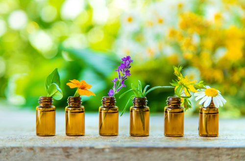 Naturopathe Salon-de-Provence