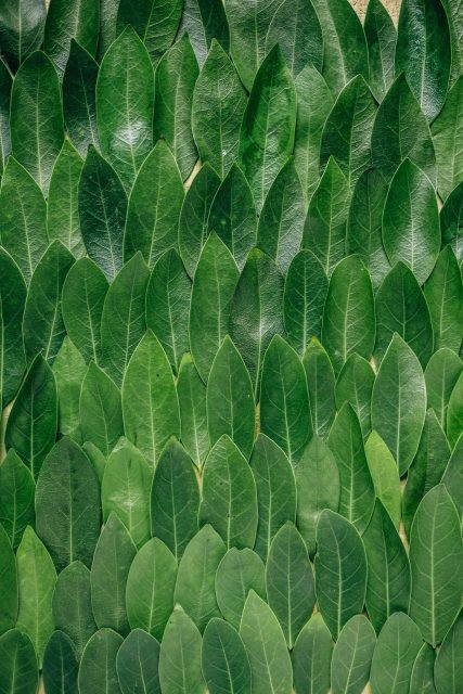 erol ahmed 296514 unsplash