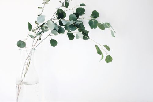 jazmin quaynor 105210 unsplash