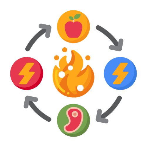 Metabolism