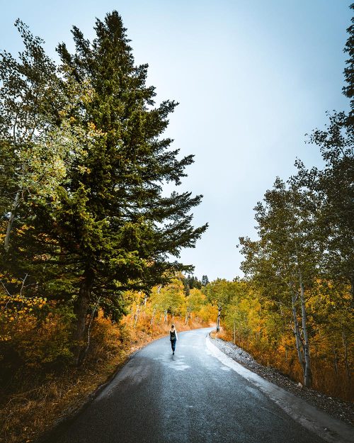 trail 1152864 unsplash