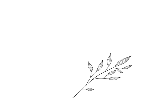 bg 2402x 1
