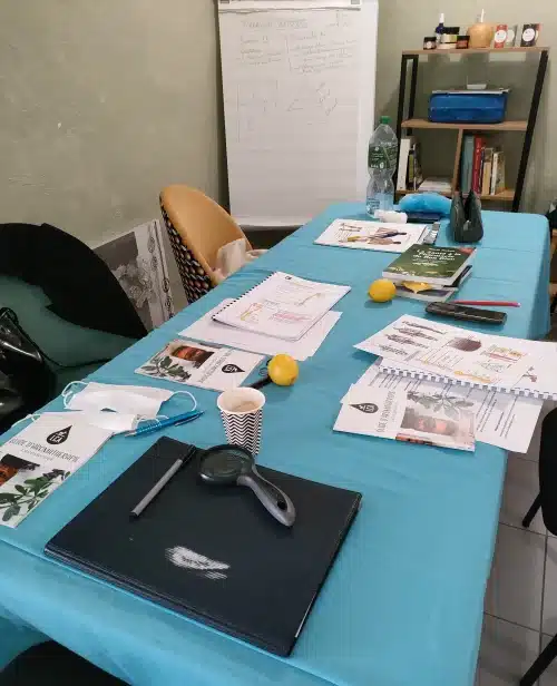 formation hijama