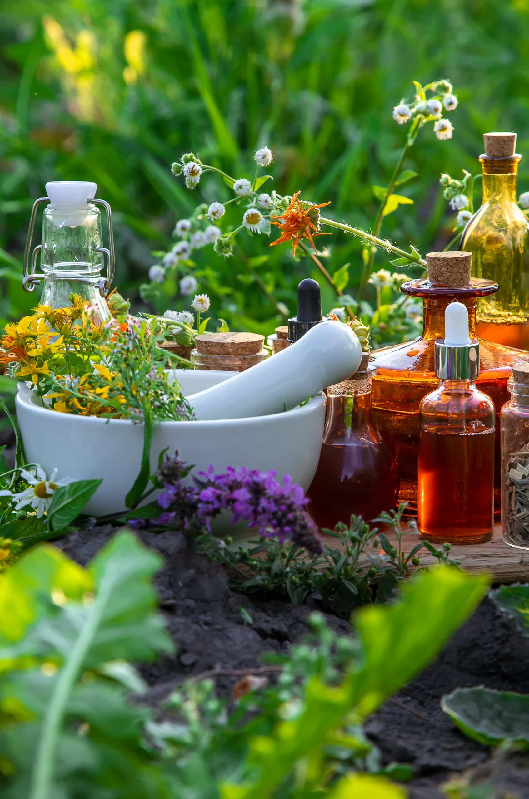 medicinal herbs and tinctures alternative medicine 2023 11 27 05 22 22 utc 1 scaled